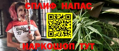 apvp Лесосибирск