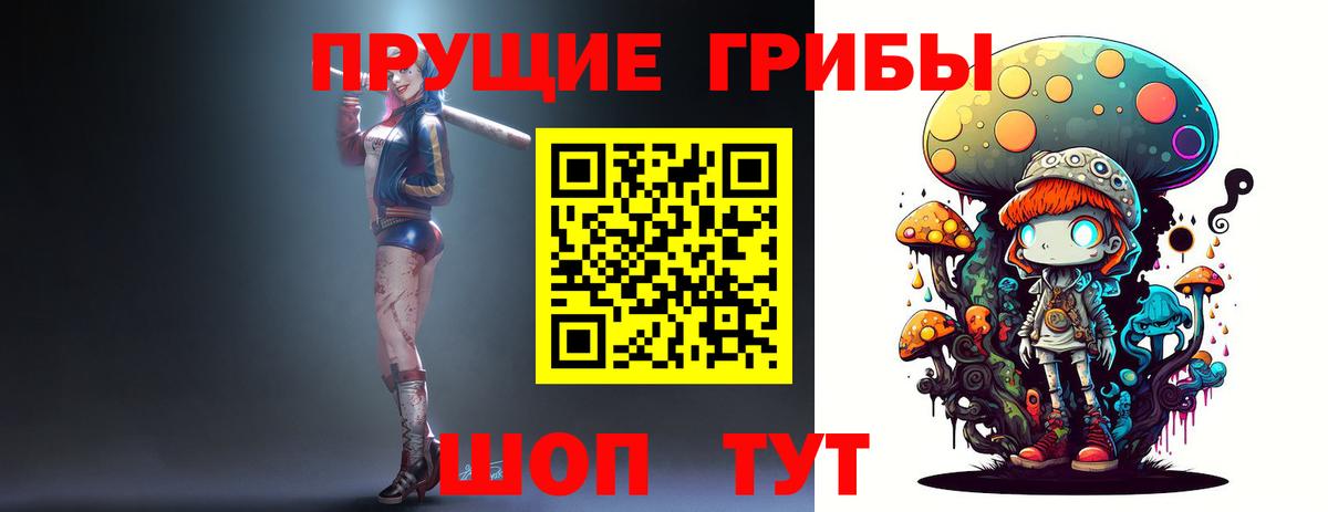 Железногорск  Галлюциногенные грибы ЛСД  Вход с VPN 